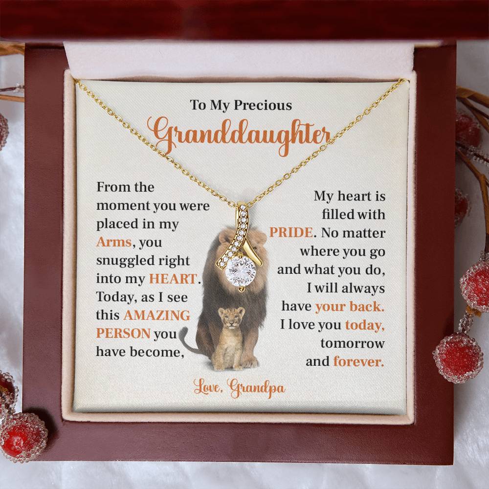 To my precious granddaughter Gift from Grandpa
