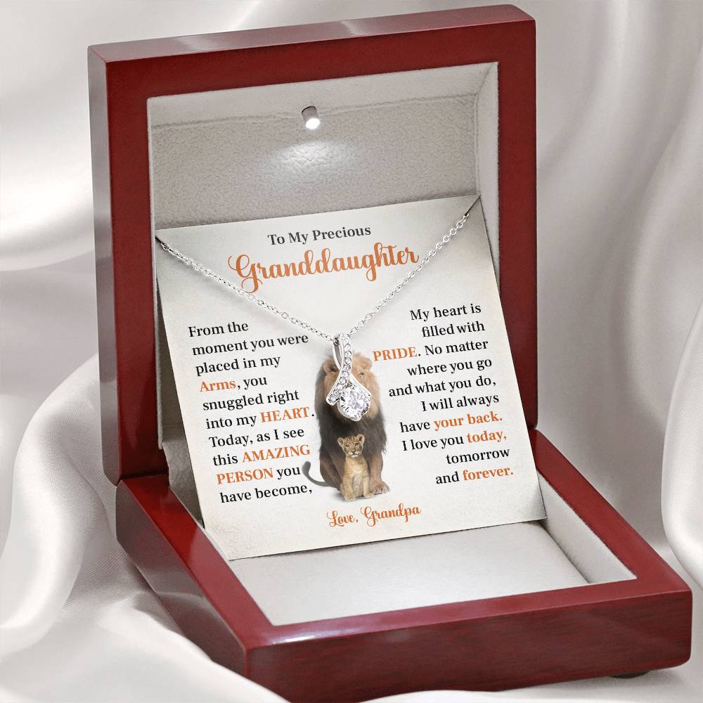To my precious granddaughter Gift from Grandpa