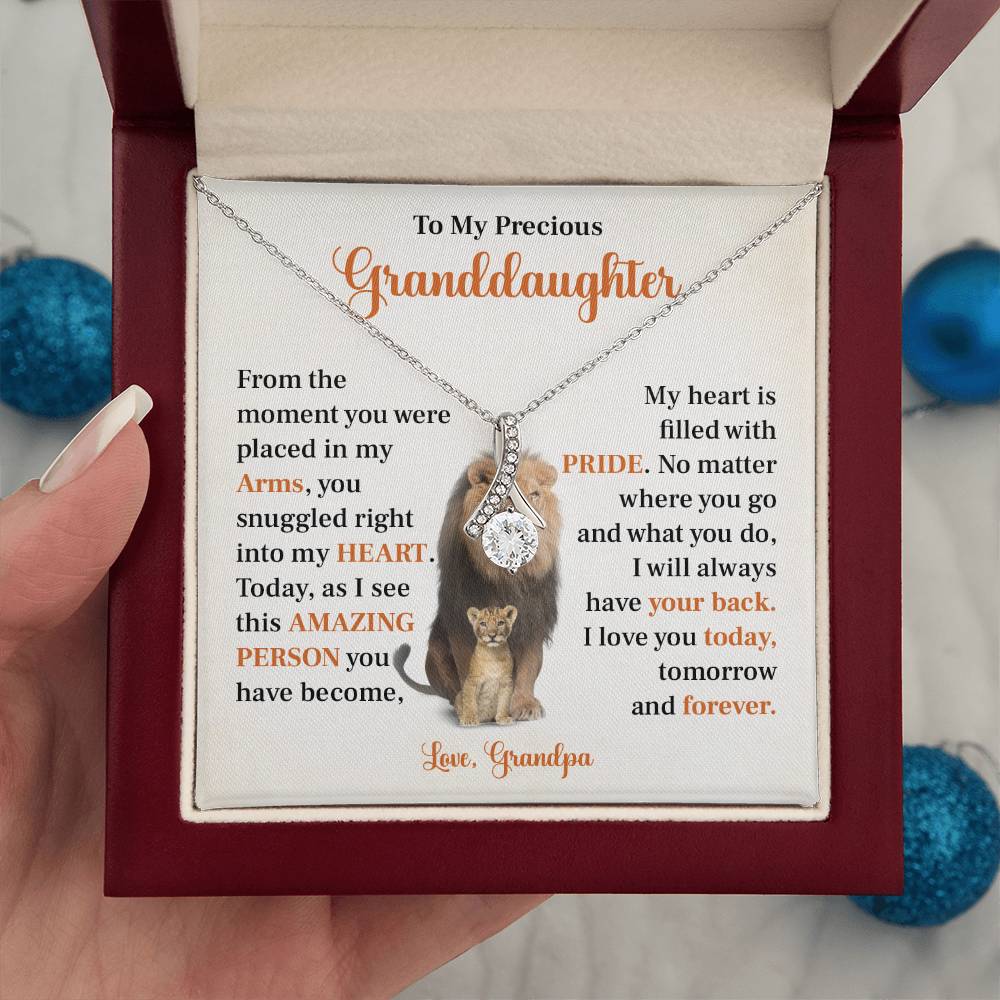 To my precious granddaughter Gift from Grandpa