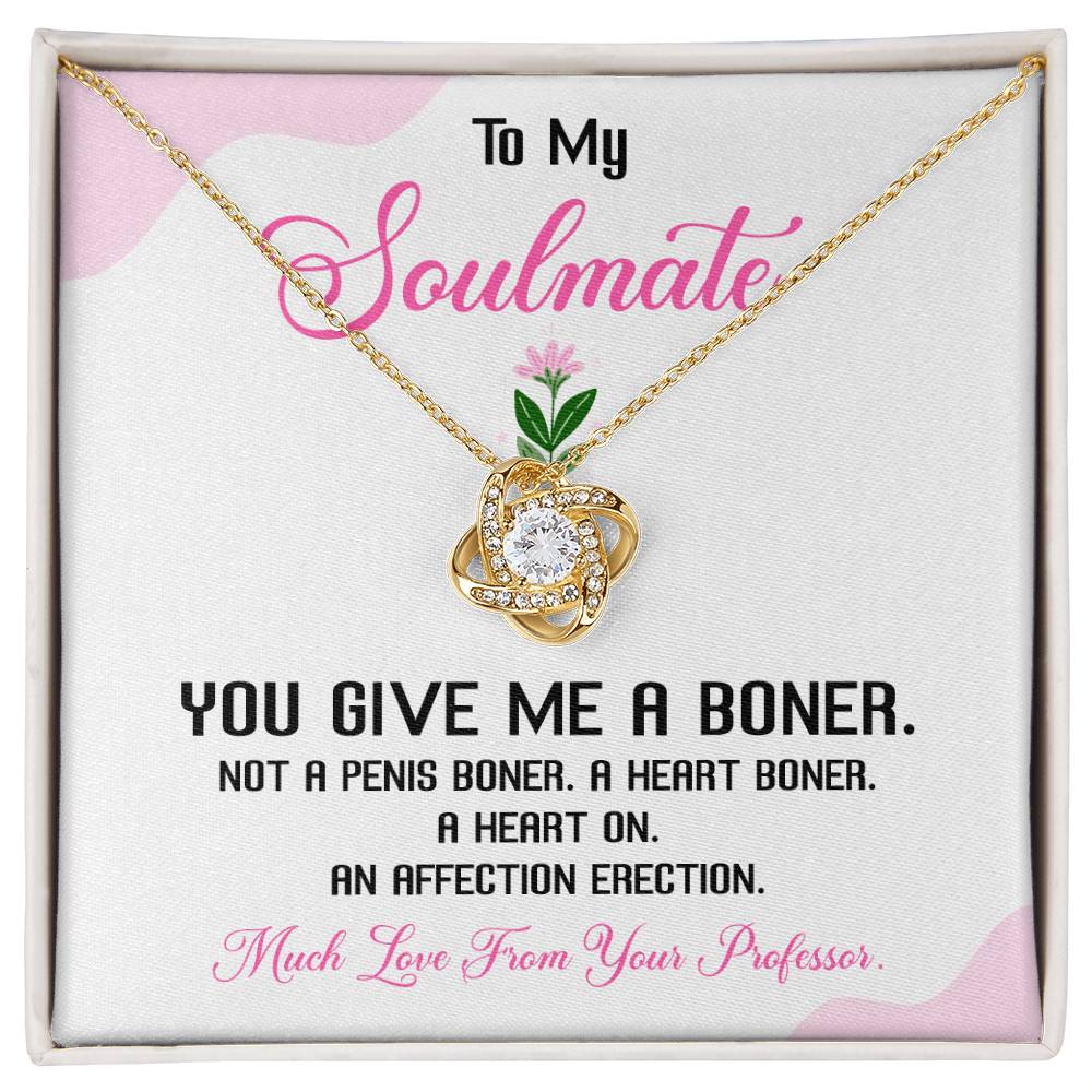 Funny Soulmate Necklace Gift from Professor