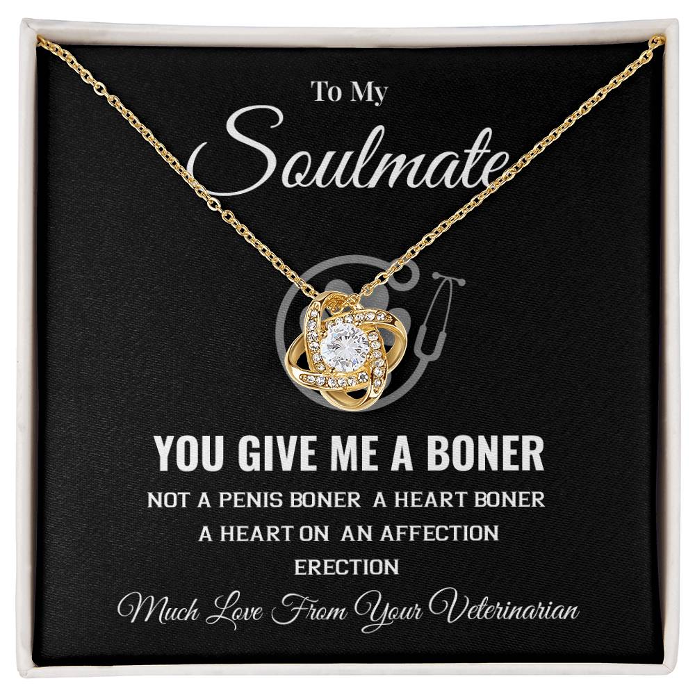 Funny Soulmate Necklace from Veterinarian Bold Romantic Gift for Her