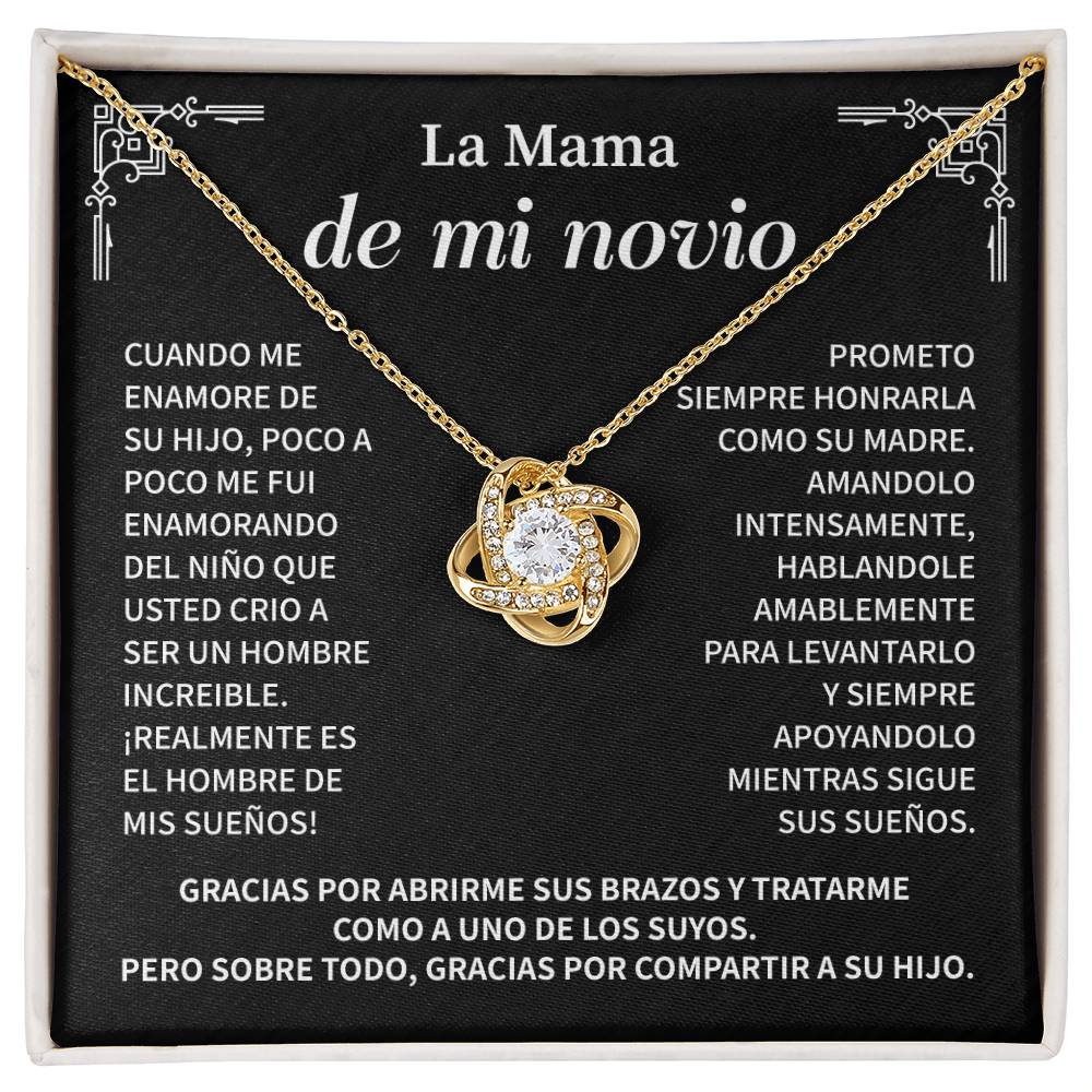 La Mama De Mi Novio, Cuando Me Enamore De Su Hijo, Poco A Poco Me Fui Enamorando Del Nino Que Usted Crio A Ser Un Hombre Increible.