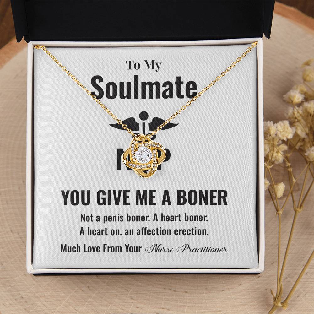 Funny Soulmate Gift Necklace from Nurse Practitioner