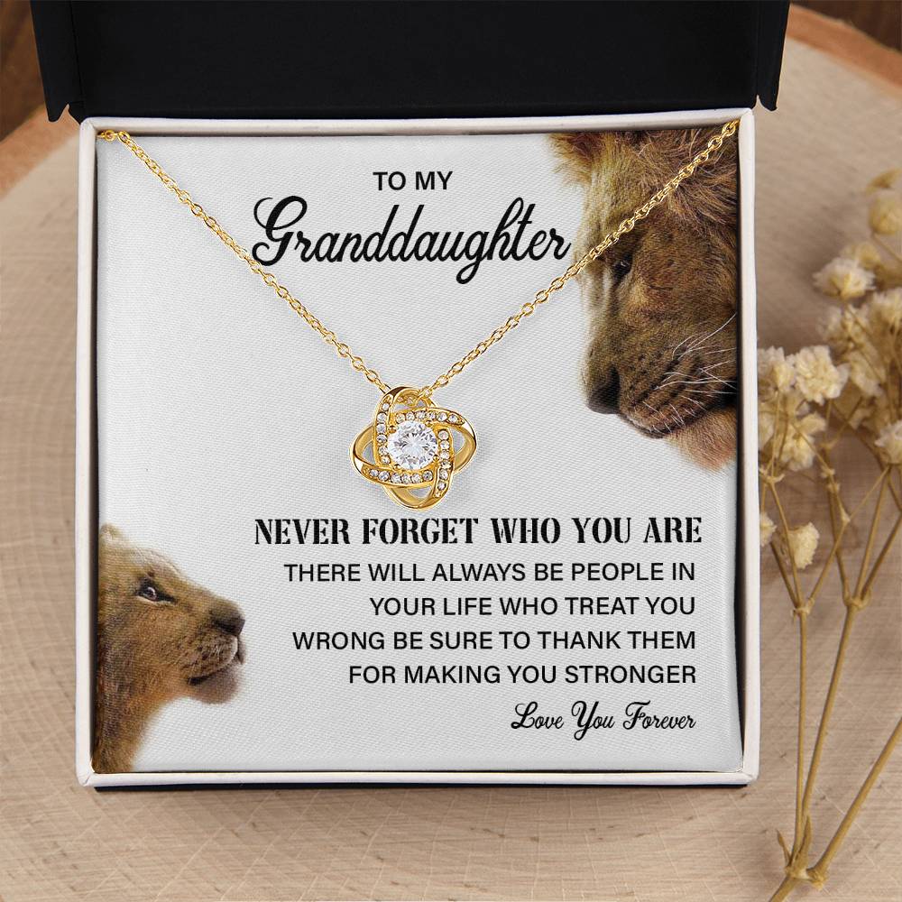Granddaughter Necklace Gift with Lion Message Card