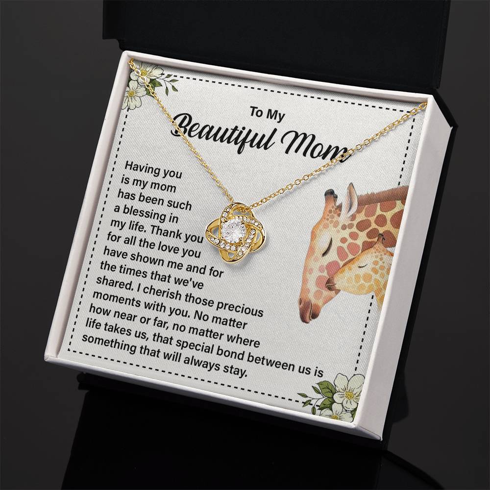 Daughter to Mom Necklace Gift with Message Card