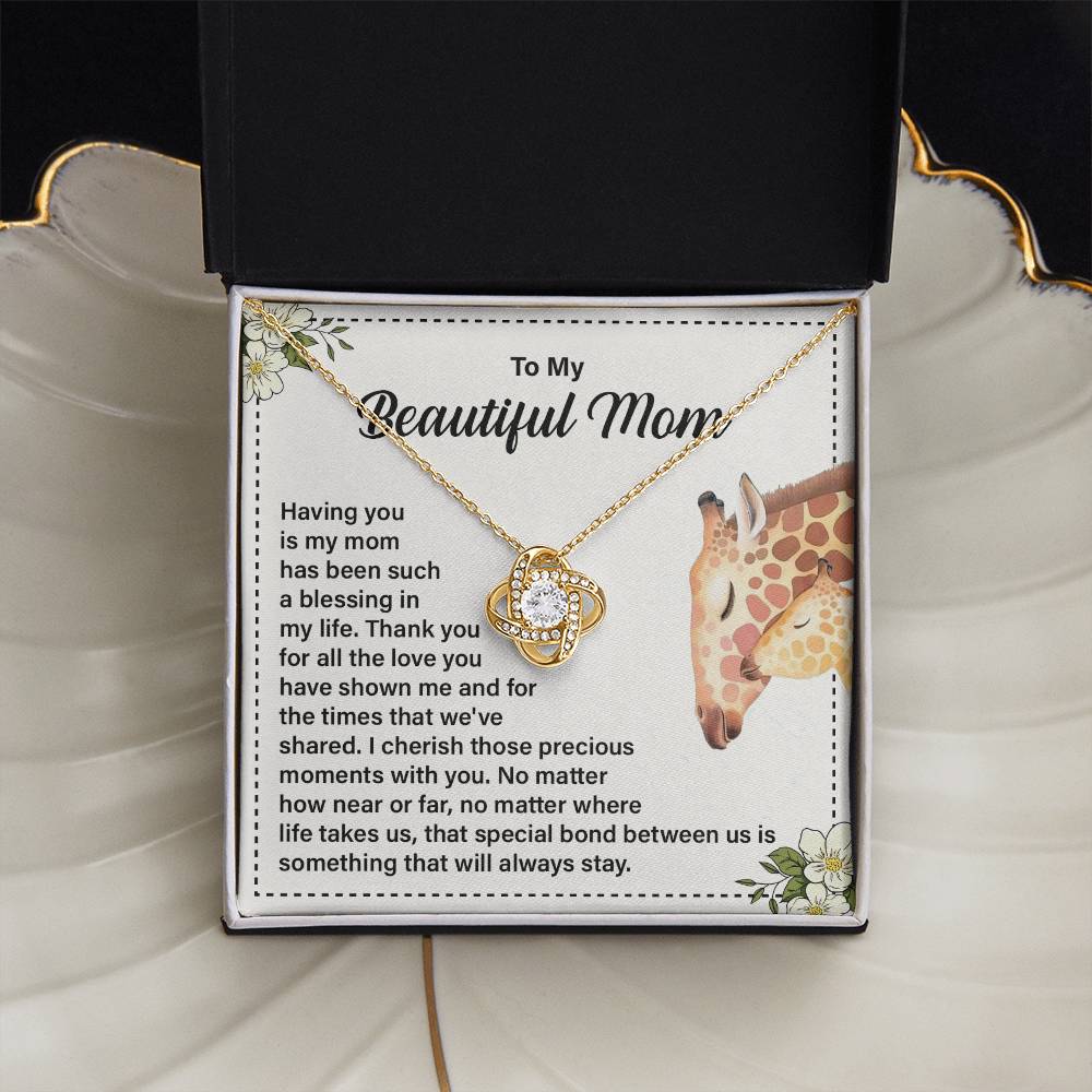 Daughter to Mom Necklace Gift with Message Card