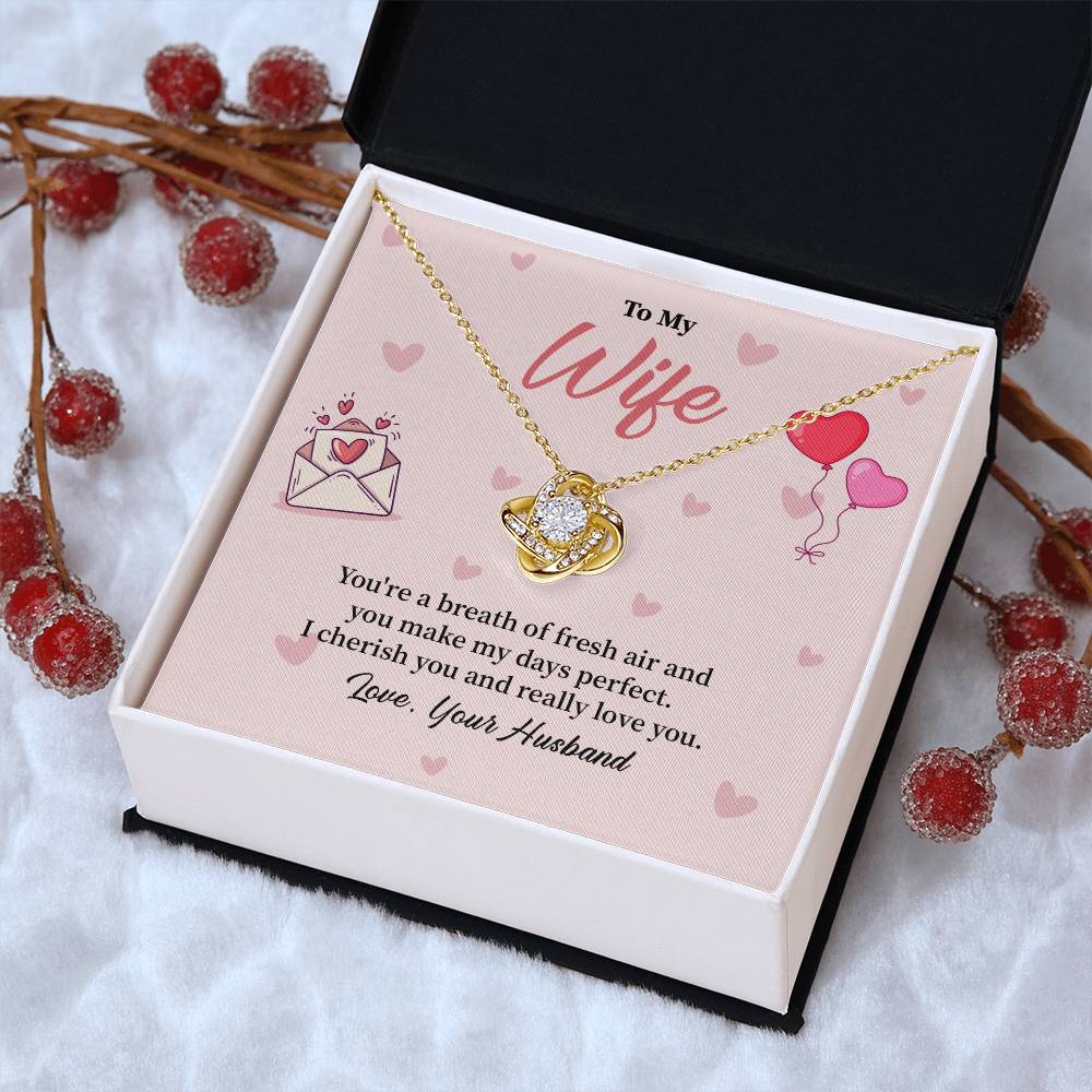 Romantic Wife Necklace Gift from Husband Love Box