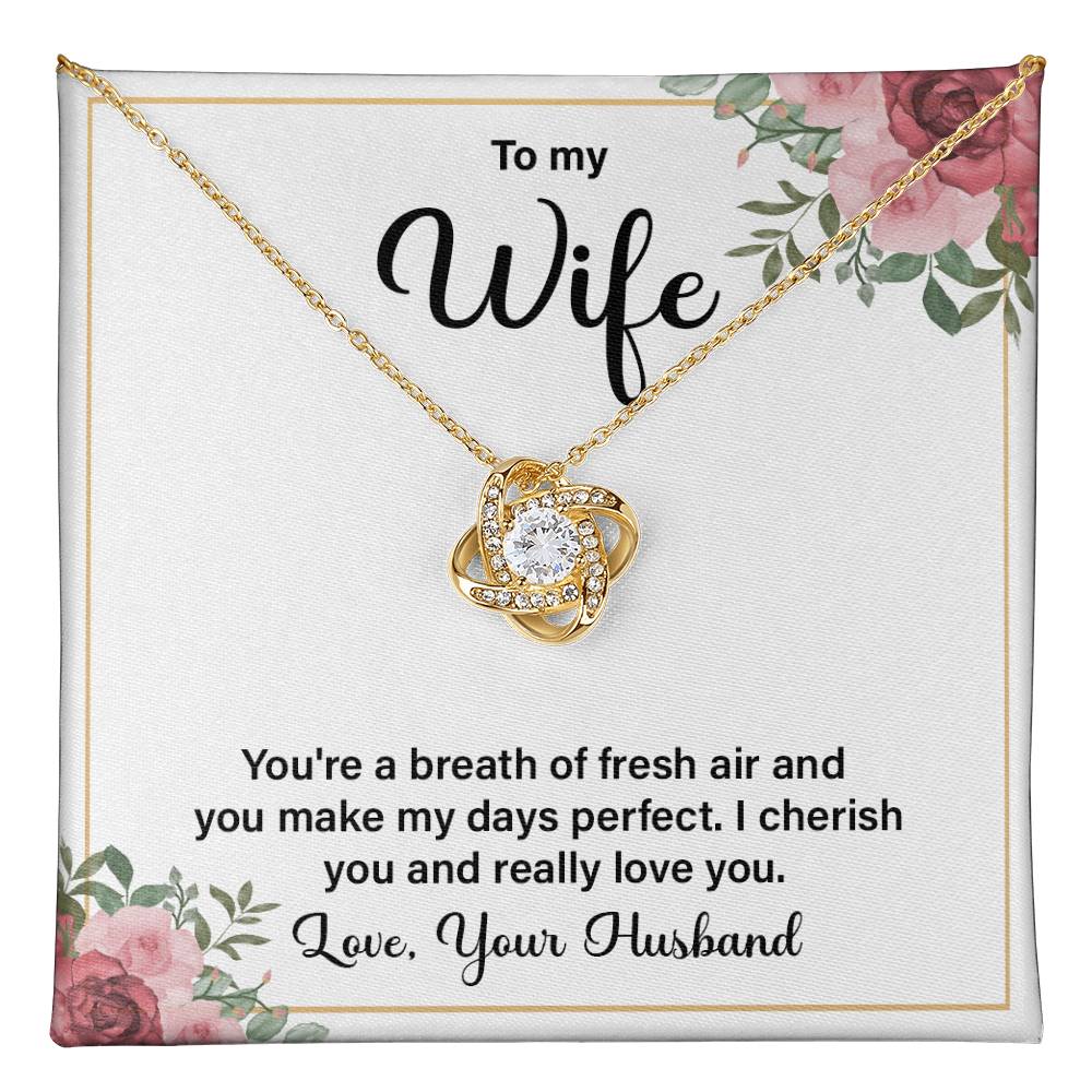 Romantic Wife Gift from Husband with Message Card