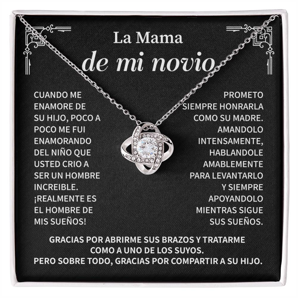 La Mama De Mi Novio, Cuando Me Enamore De Su Hijo, Poco A Poco Me Fui Enamorando Del Nino Que Usted Crio A Ser Un Hombre Increible.