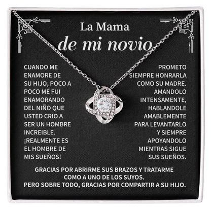 La Mama De Mi Novio, Cuando Me Enamore De Su Hijo, Poco A Poco Me Fui Enamorando Del Nino Que Usted Crio A Ser Un Hombre Increible.