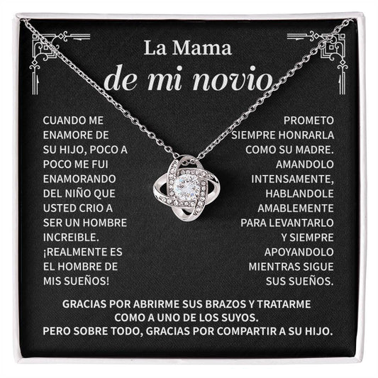 La Mama De Mi Novio, Cuando Me Enamore De Su Hijo, Poco A Poco Me Fui Enamorando Del Nino Que Usted Crio A Ser Un Hombre Increible.