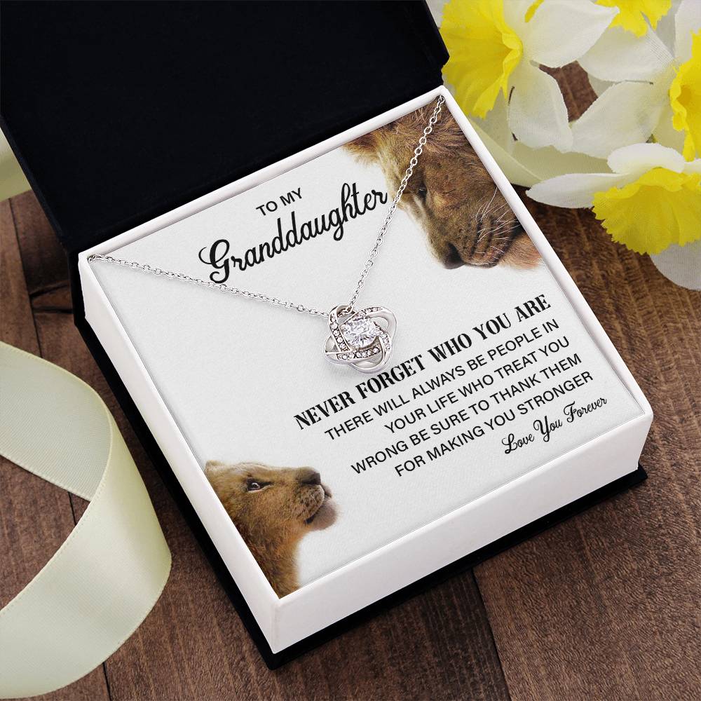 Granddaughter Necklace Gift with Lion Message Card