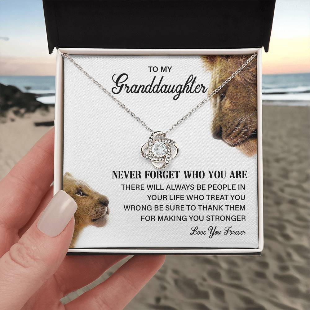 Granddaughter Necklace Gift with Lion Message Card