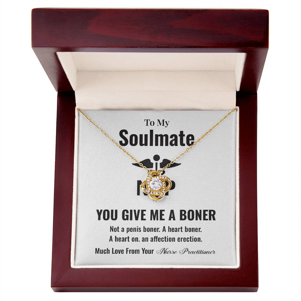 Funny Soulmate Gift Necklace from Nurse Practitioner