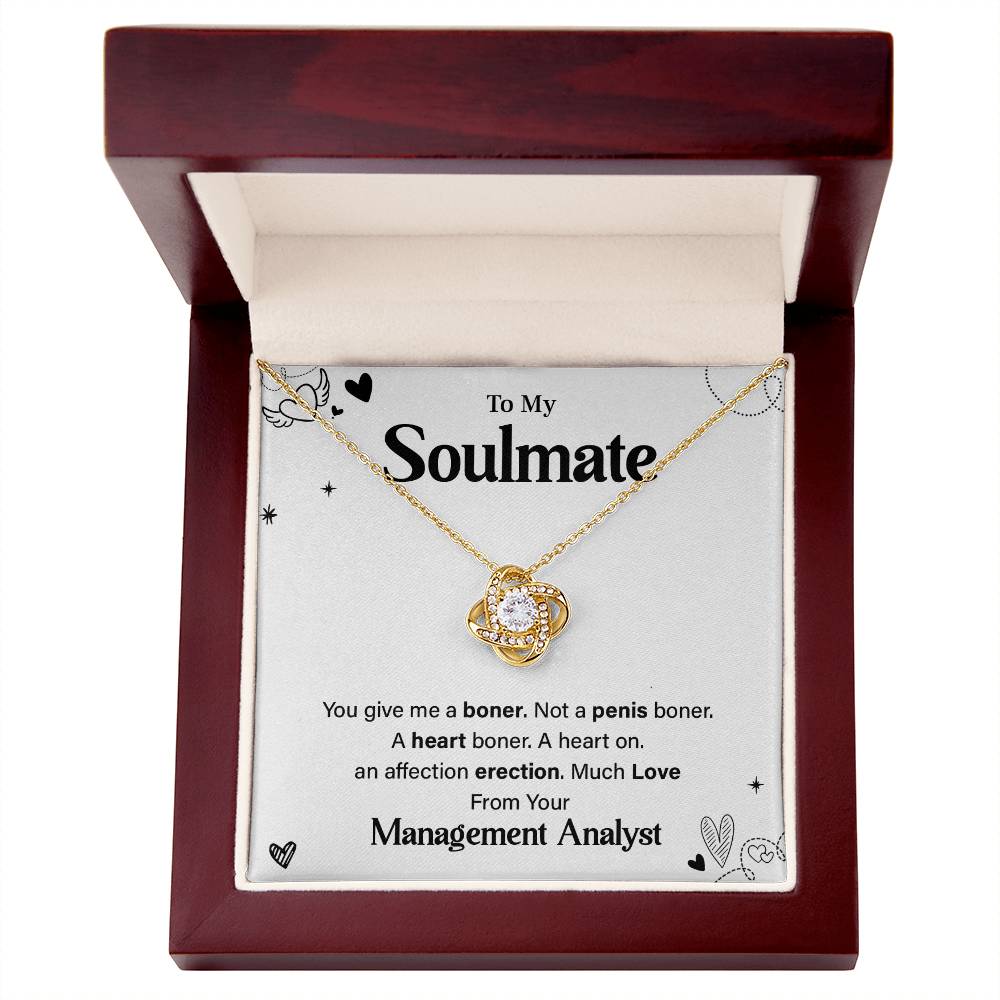 Funny Gift for Soulmate from Management Analyst