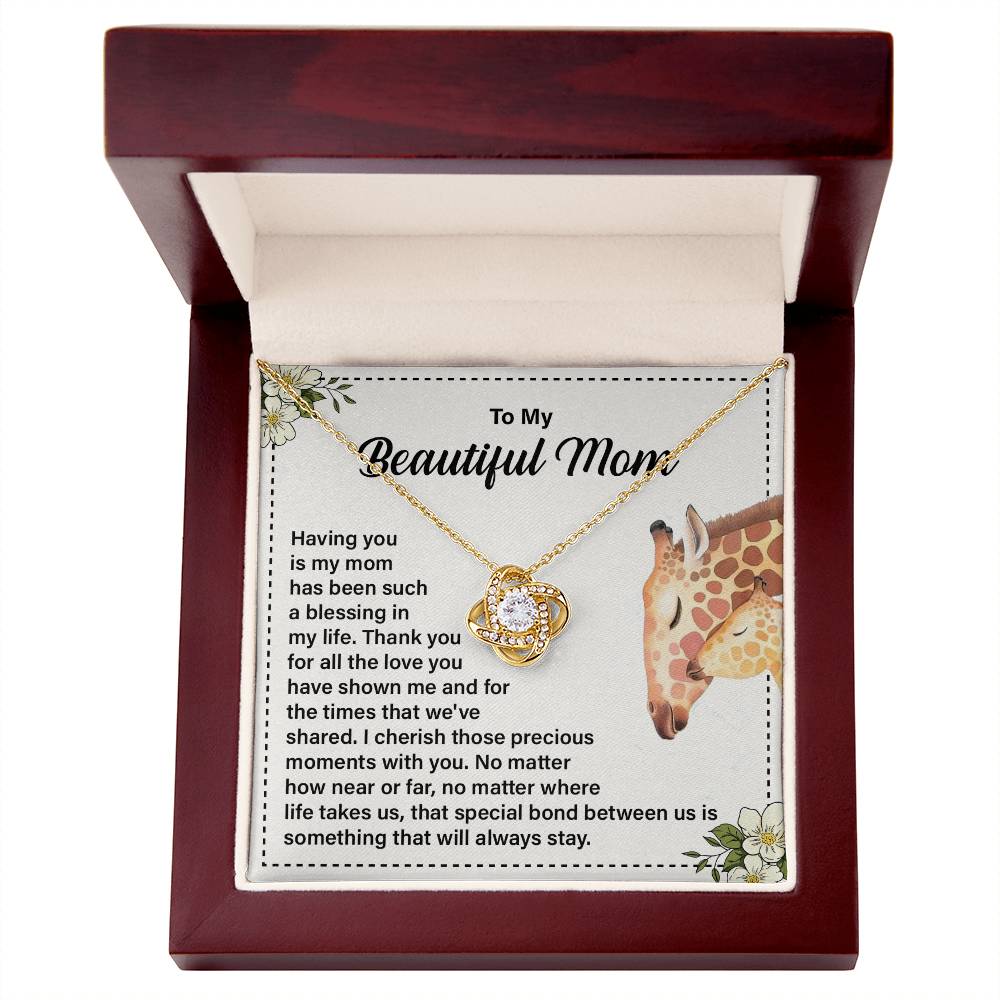 Daughter to Mom Necklace Gift with Message Card