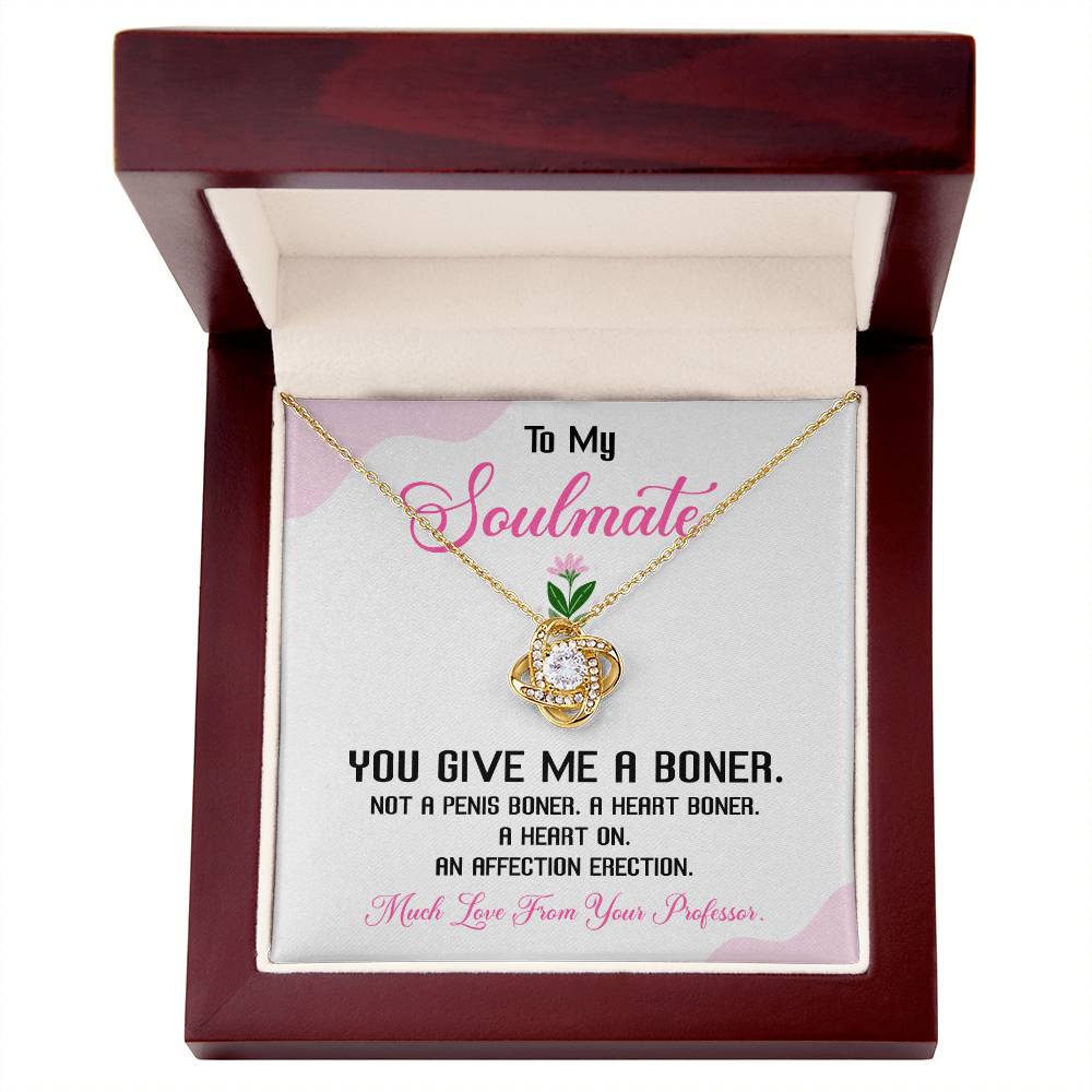 Funny Soulmate Necklace Gift from Professor