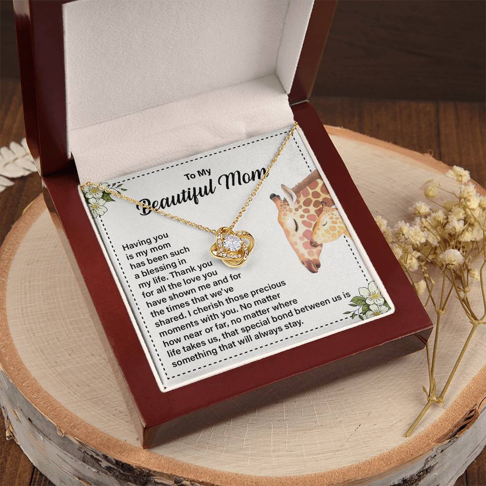 Daughter to Mom Necklace Gift with Message Card