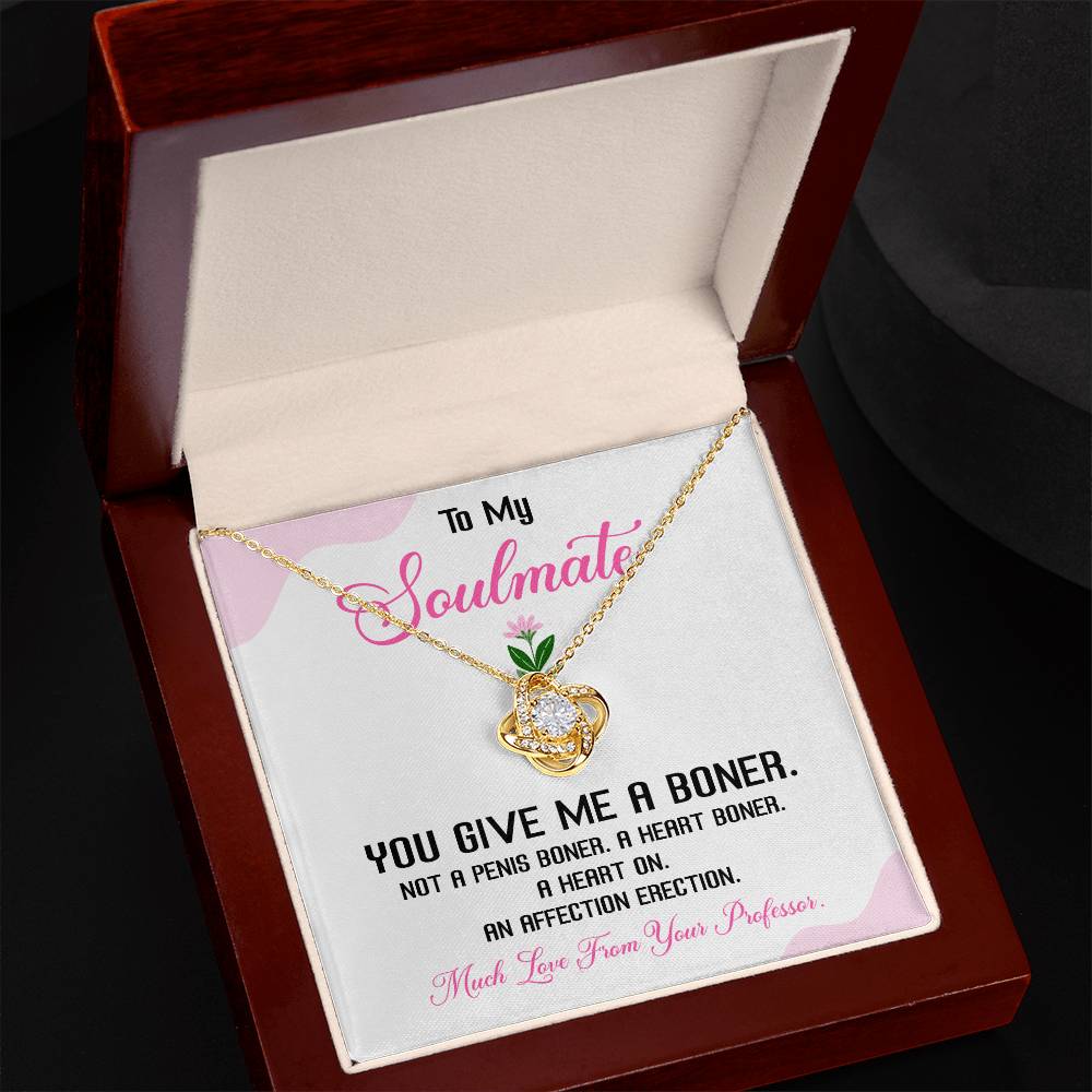 Funny Soulmate Necklace Gift from Professor – Gift Box