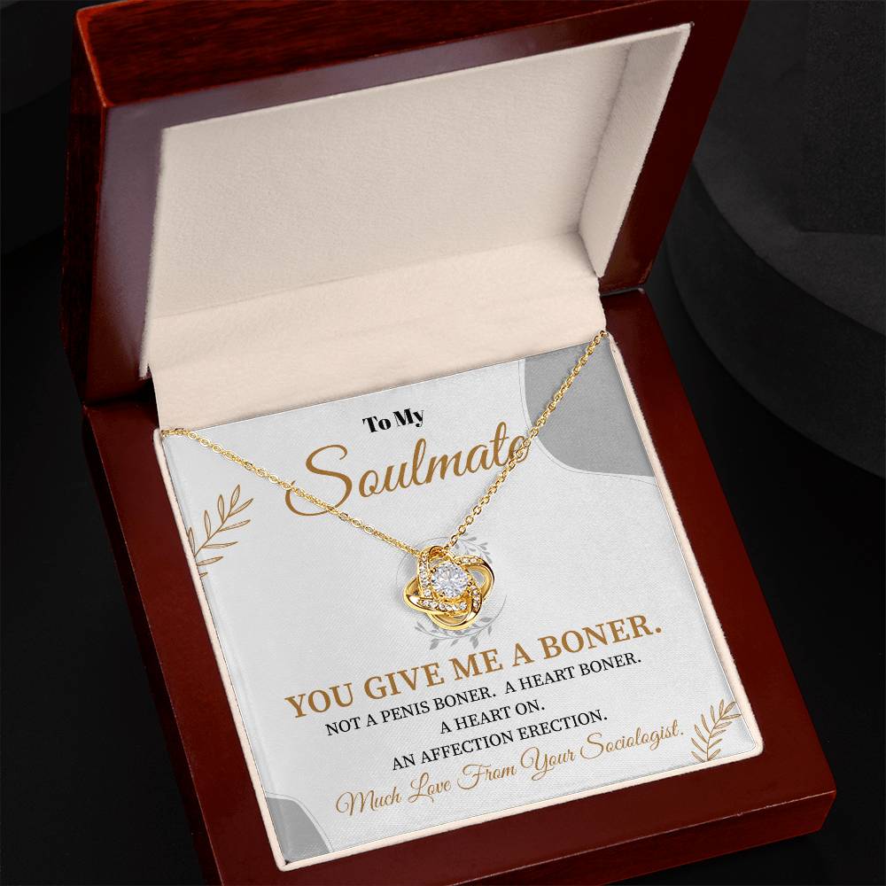 Funny Soulmate Necklace Gift from Sociologist – Gift Box