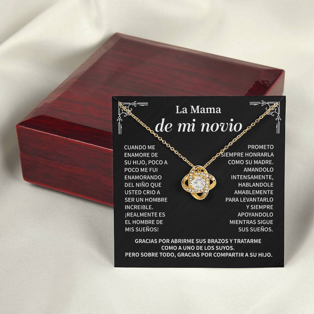 La Mama De Mi Novio, Cuando Me Enamore De Su Hijo, Poco A Poco Me Fui Enamorando Del Nino Que Usted Crio A Ser Un Hombre Increible.