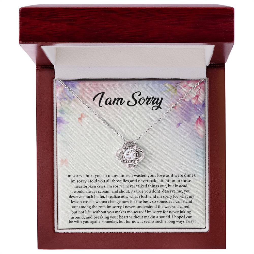 I Am Sorry For Hurting You Necklace.