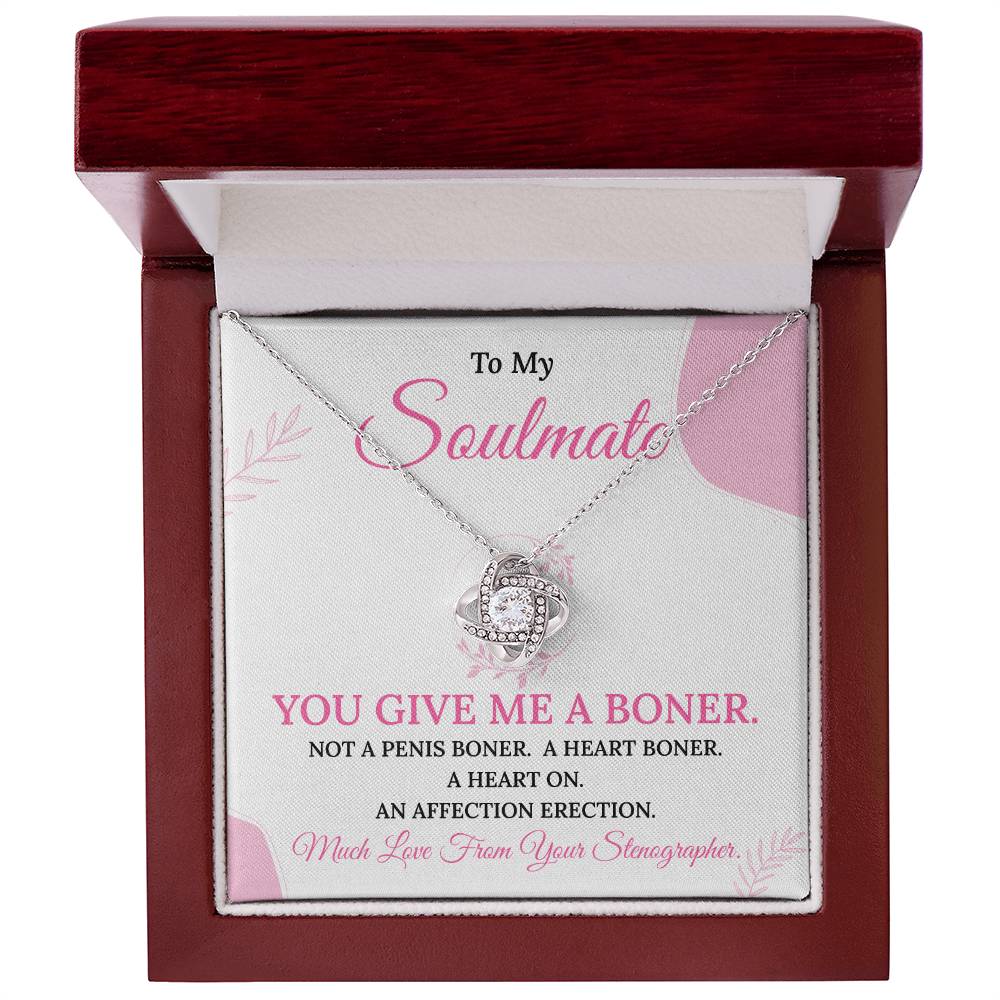 Funny Necklace Gift from Stenographer to Love