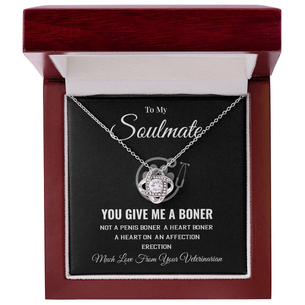 Funny Soulmate Necklace from Veterinarian Bold Romantic Gift for Her