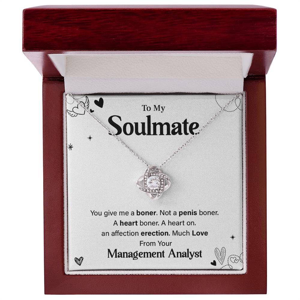 Funny Gift for Soulmate from Management Analyst