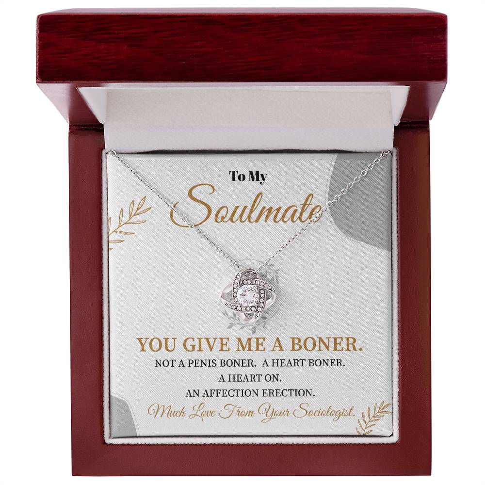 Funny Soulmate Necklace Gift from Sociologist – Gift Box