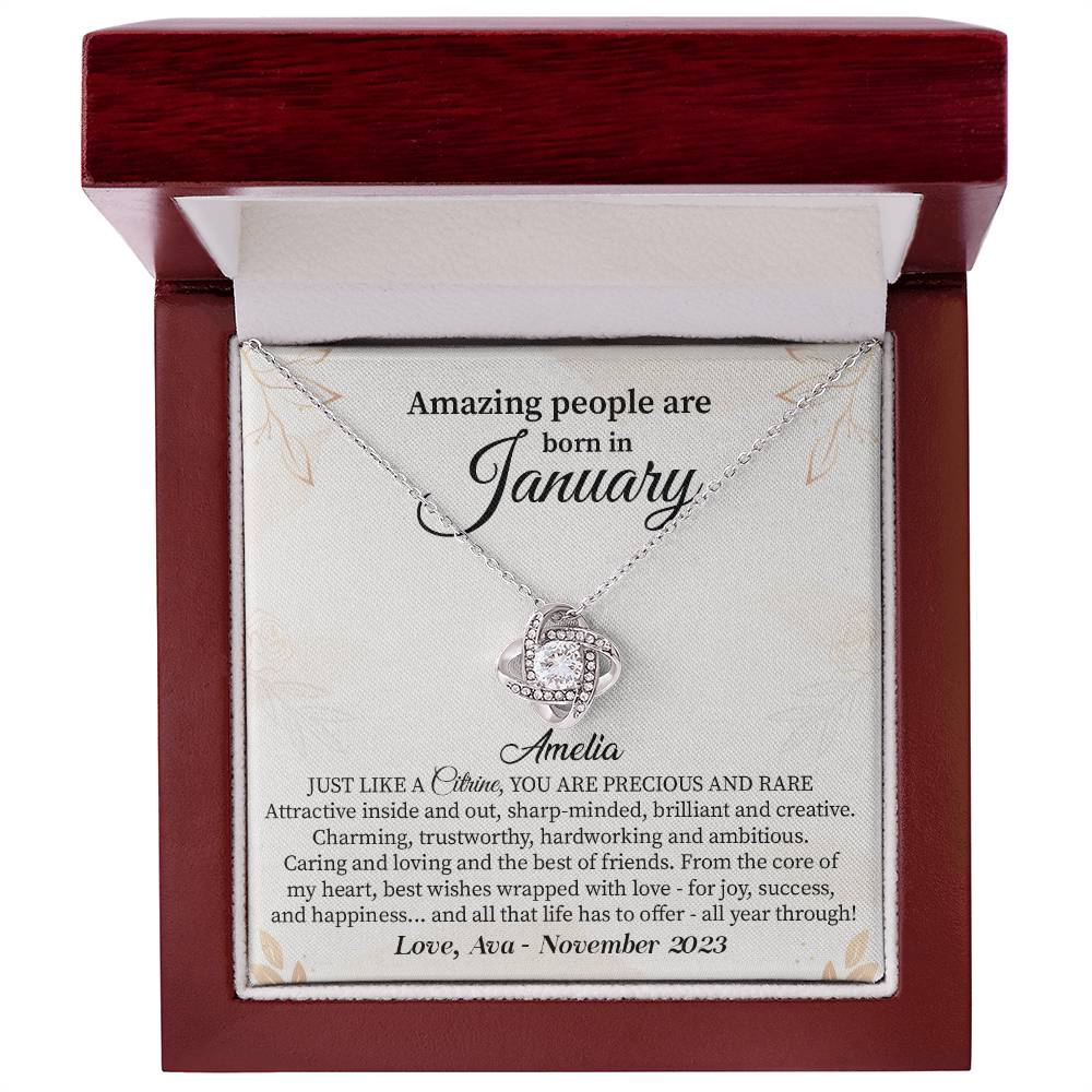 January Birthday Necklace Gift for Her – Elegant Boxed Jewelry