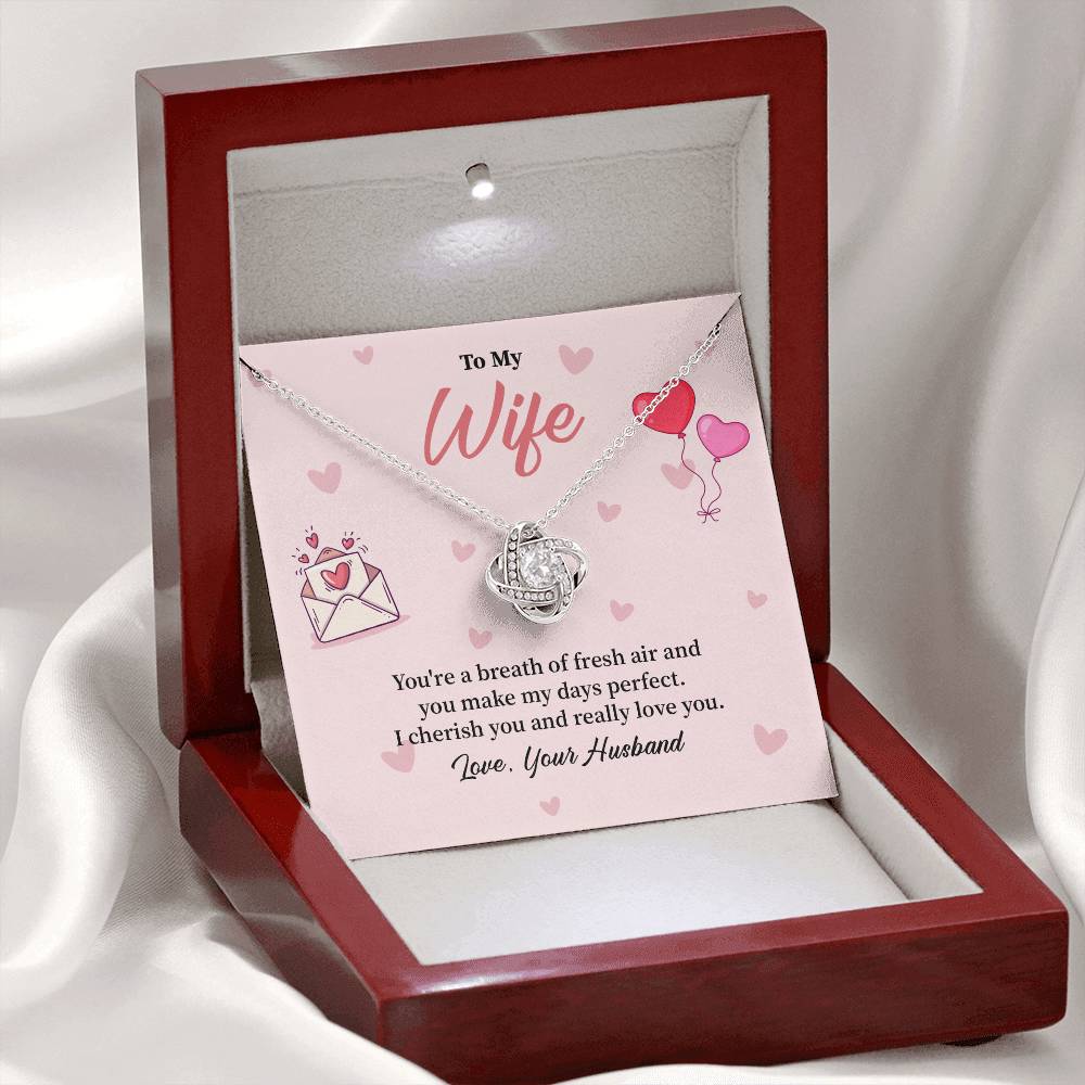 Romantic Wife Necklace Gift from Husband Love Box