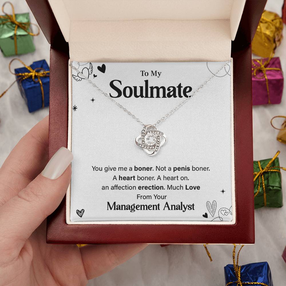 Funny Gift for Soulmate from Management Analyst