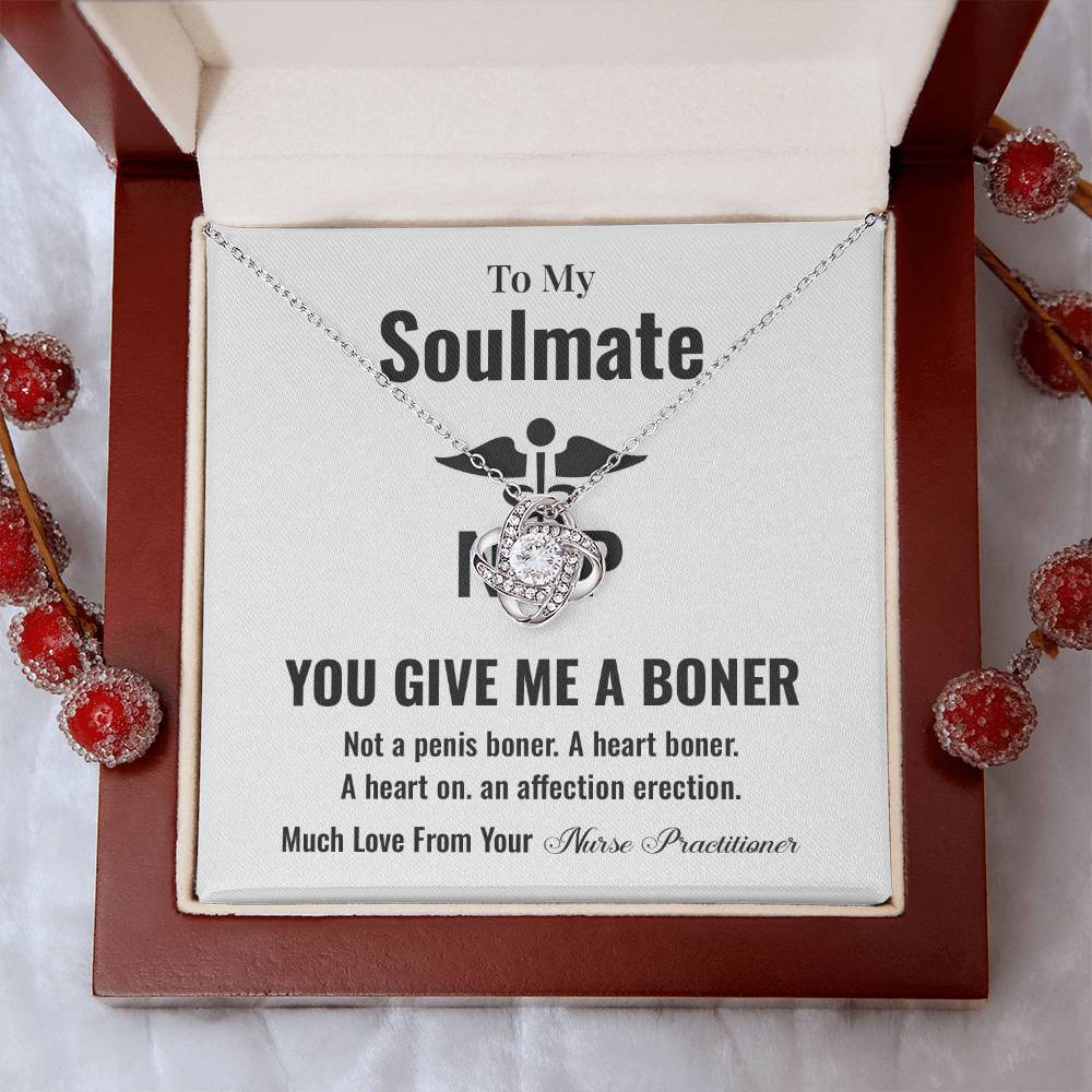 Funny Soulmate Gift Necklace from Nurse Practitioner