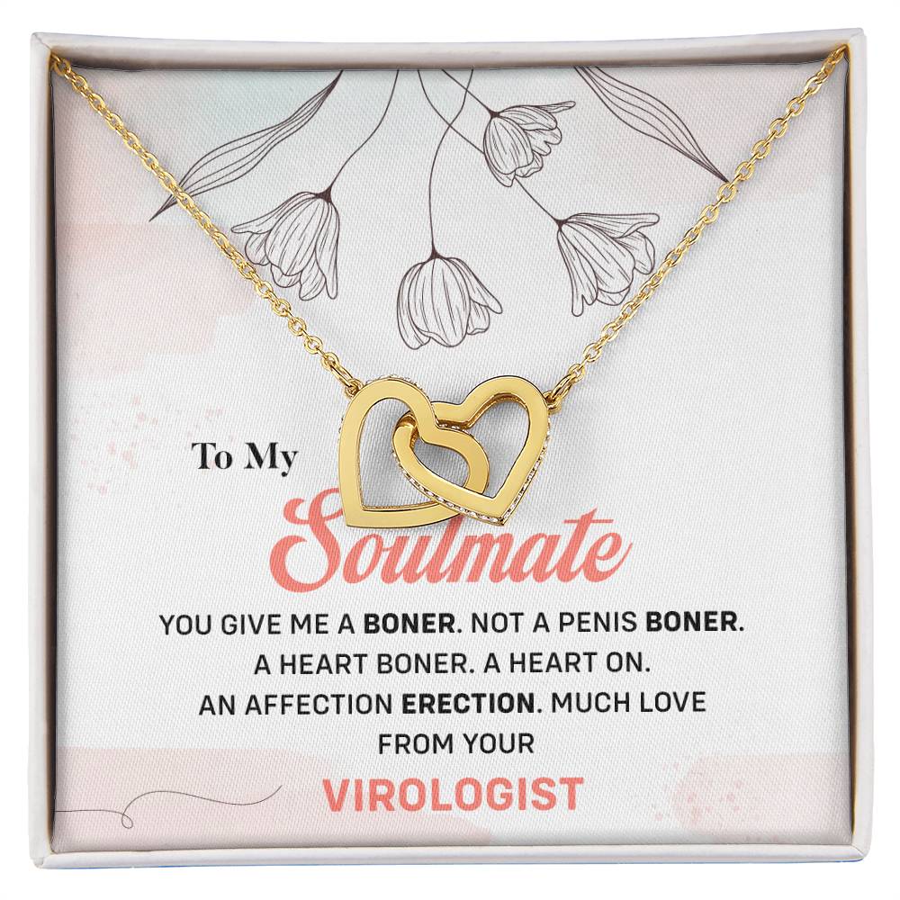 Virologist to Soulmate Funny Necklace Gift