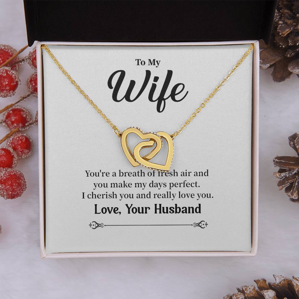 Romantic Necklace Gift for Wife from Husband with Message