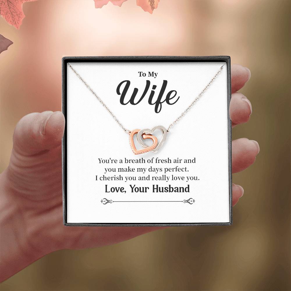 Romantic Necklace Gift for Wife from Husband with Message
