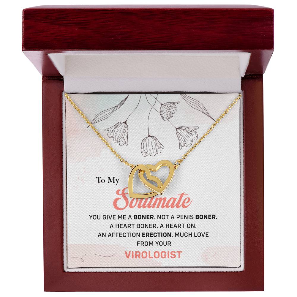 Virologist to Soulmate Funny Necklace Gift