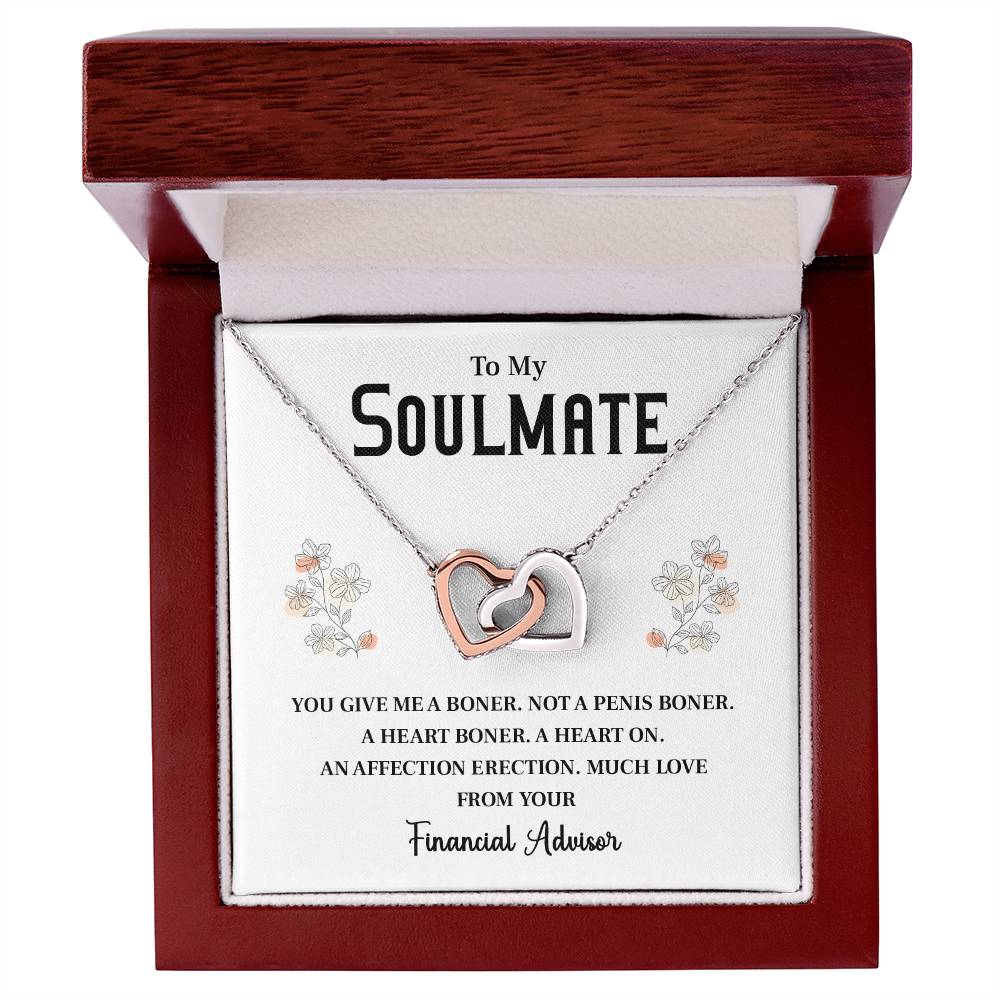 Funny Soulmate Gift from Financial Advisor Necklace