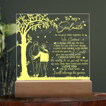 To My Soulmate As We Grow Older Together, Acrylic Plaque Gift For Soulmate.