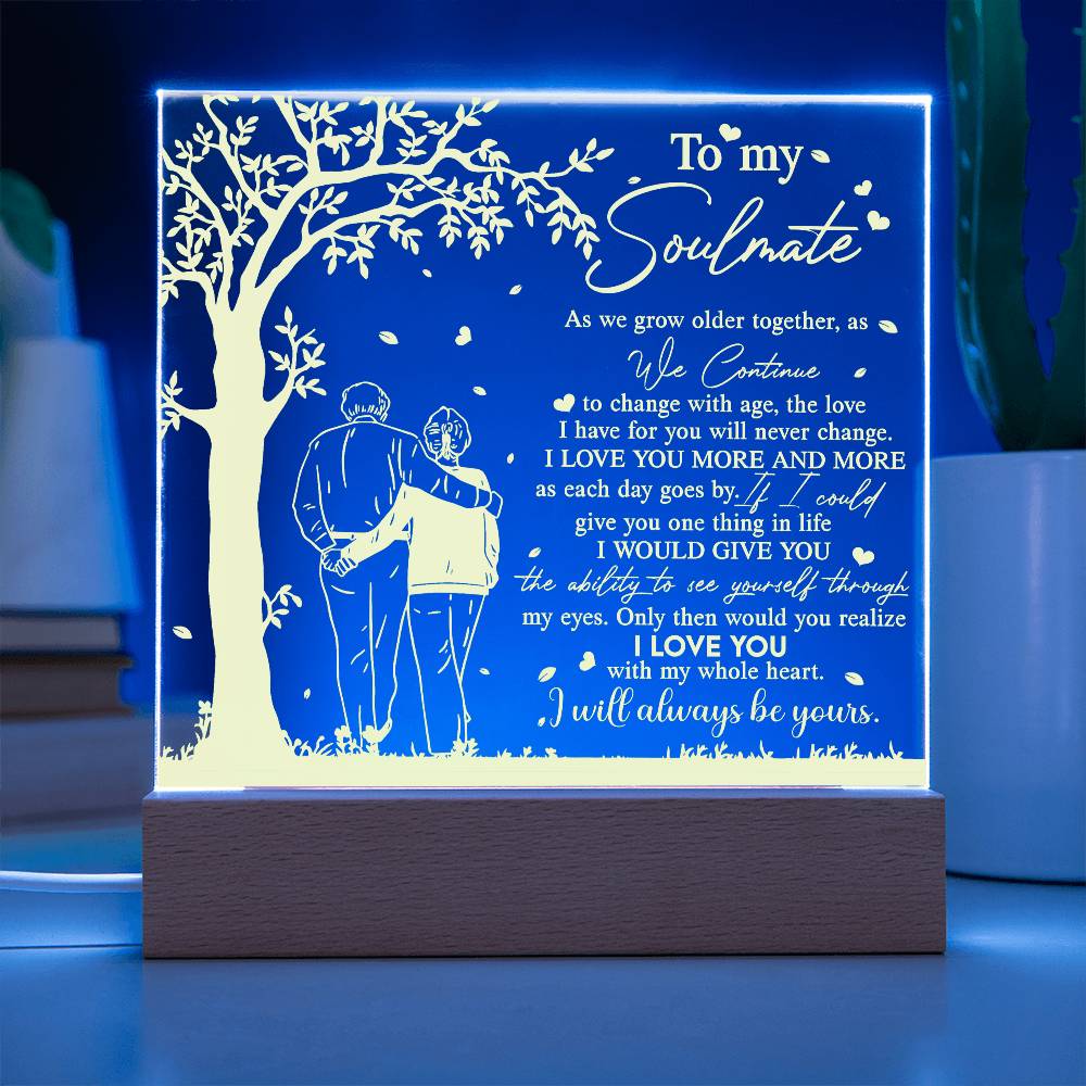 To My Soulmate As We Grow Older Together, Acrylic Plaque Gift For Soulmate.