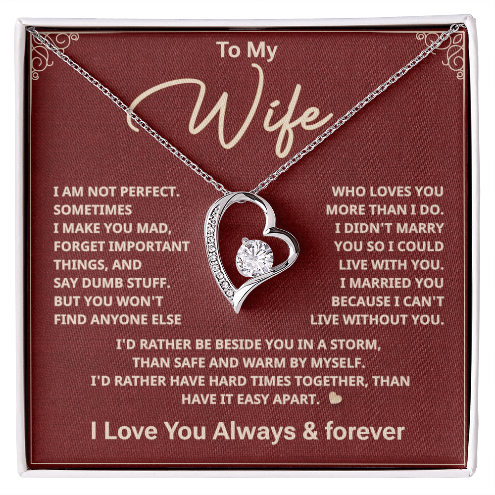 To my Wife
