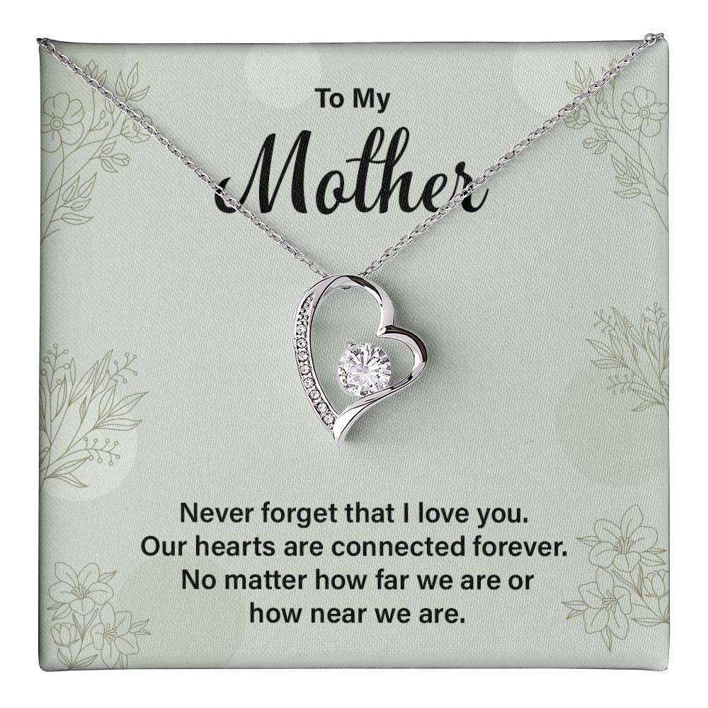 To my Mother never forget that i love you.