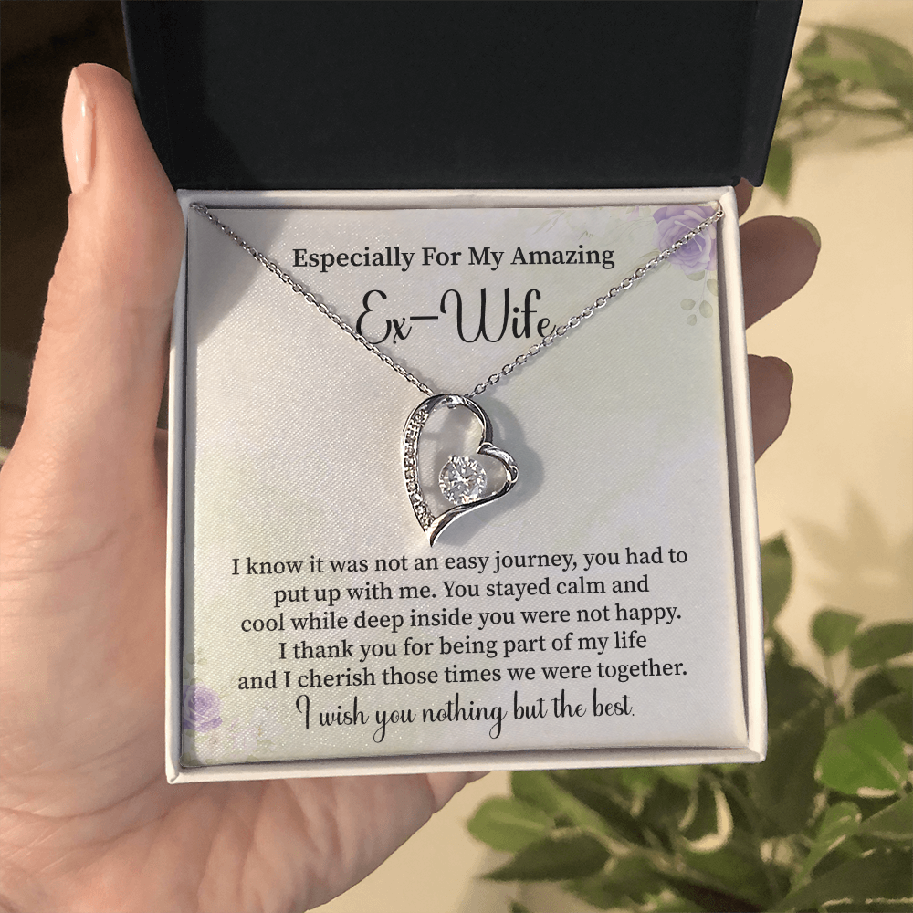 Especially For My Amazing Ex-wife Necklace Gift.