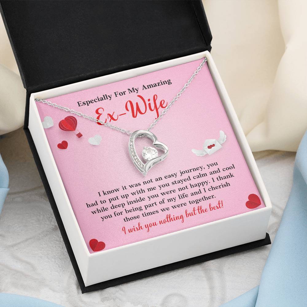 Especially For My Amazing Ex-wife, Necklace Gift Sentimental Ex-wife Jewelry Thank You Necklace Gift Necklace With Emotional Message Meaningful Jewelry For Ex-wife Memories Together Necklace