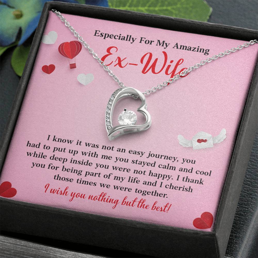 Especially For My Amazing Ex-wife, Necklace Gift Sentimental Ex-wife Jewelry Thank You Necklace Gift Necklace With Emotional Message Meaningful Jewelry For Ex-wife Memories Together Necklace