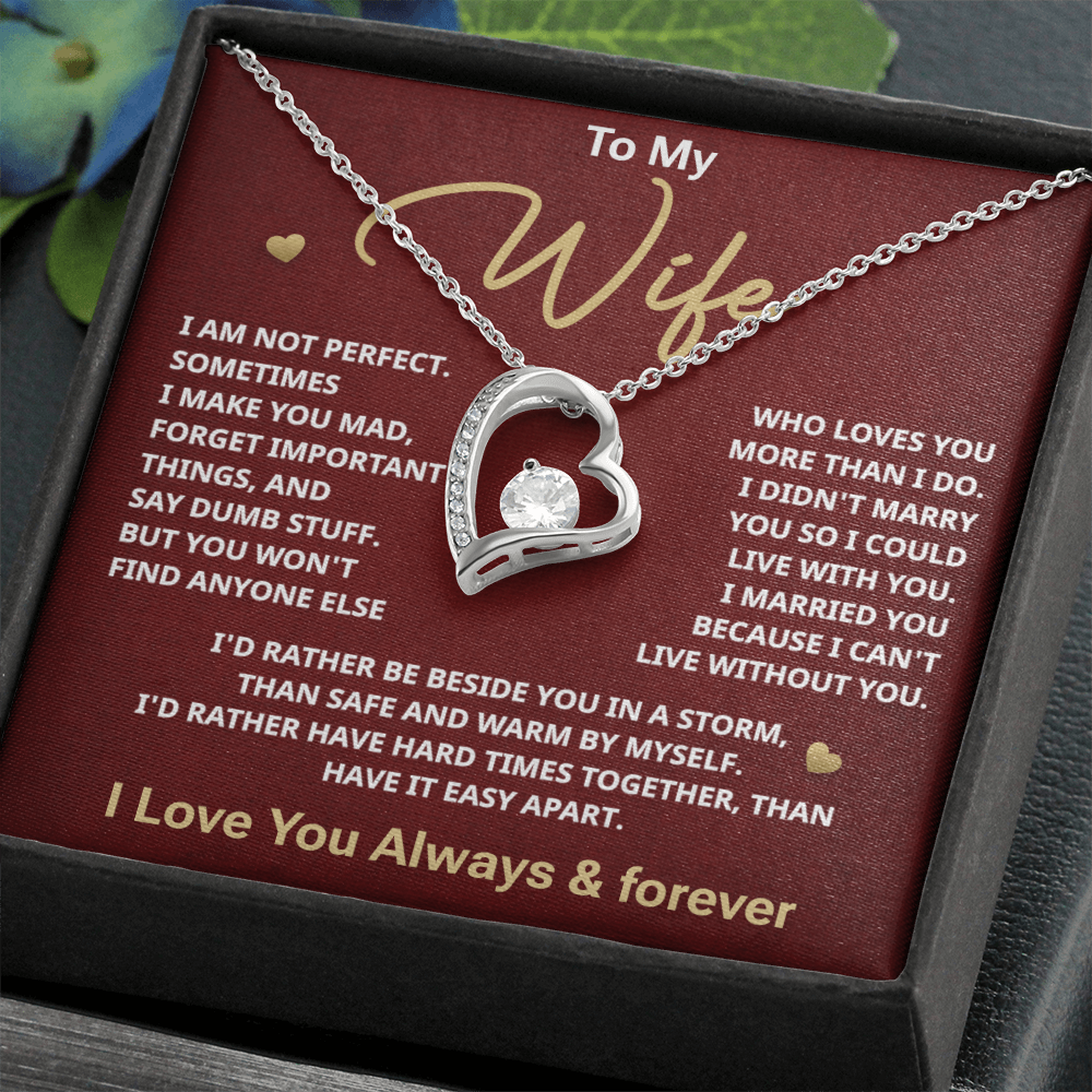 To my Wife
