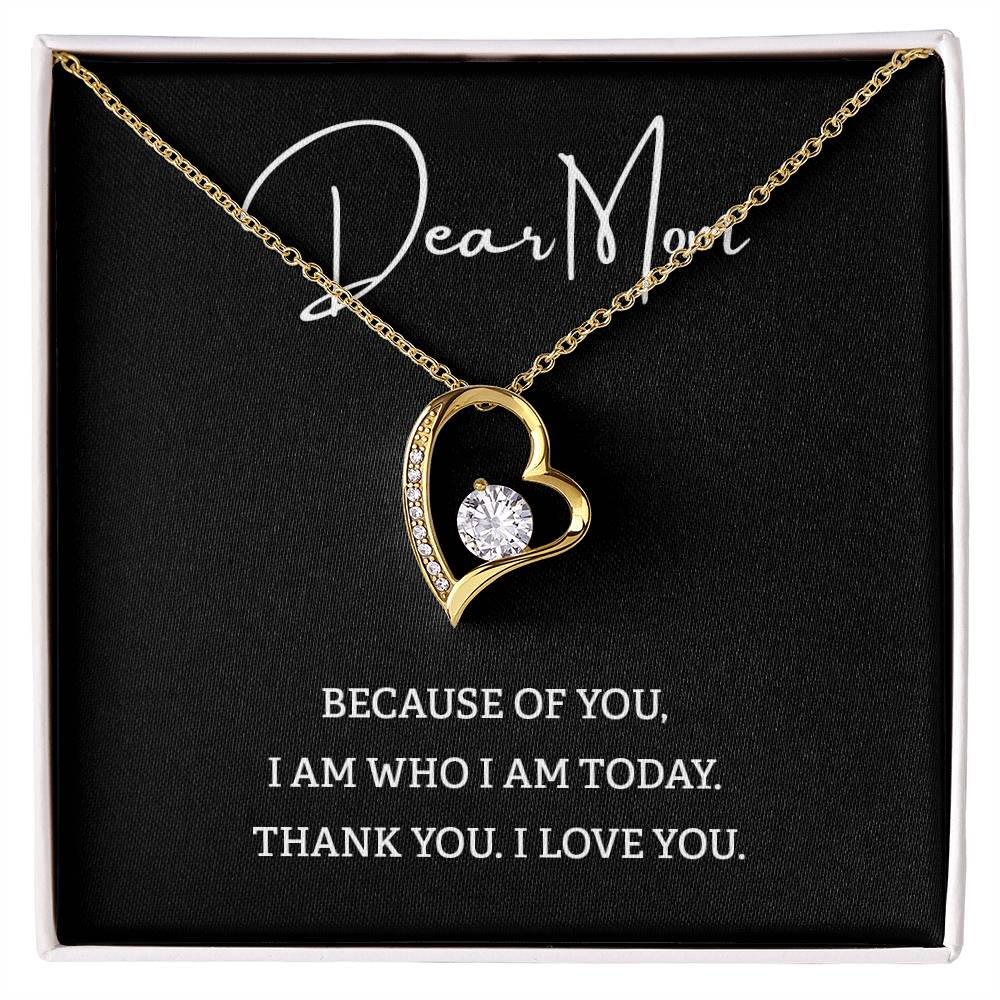Dear Mom  BECAUSE OF YOU.