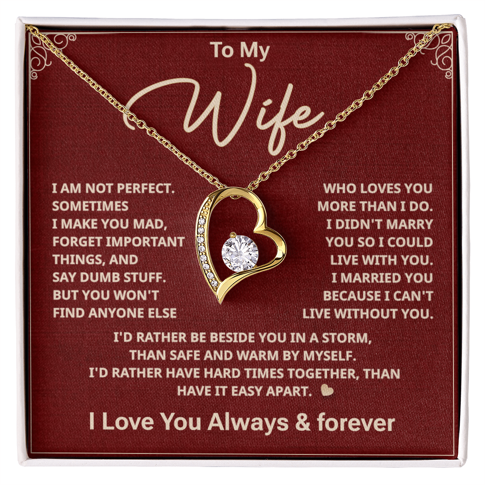 To my Wife