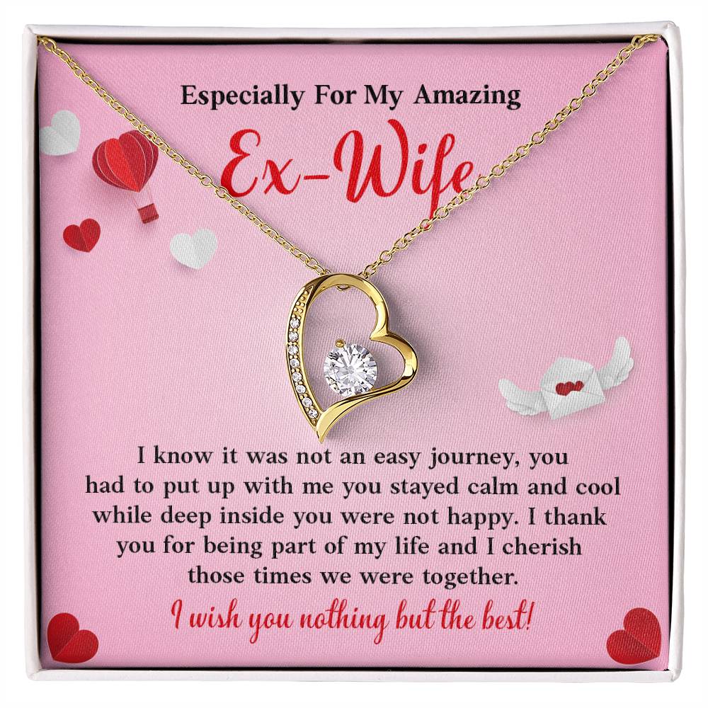 Especially For My Amazing Ex-wife, Necklace Gift Sentimental Ex-wife Jewelry Thank You Necklace Gift Necklace With Emotional Message Meaningful Jewelry For Ex-wife Memories Together Necklace